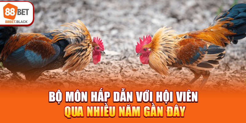 Bộ môn hấp dẫn với hội viên qua nhiều năm gần đây