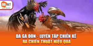 da-ga-don-luyen-tap-chien-ke-ra-chien-thuat-hieu-qua