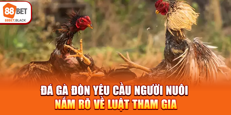 Đá gà đòn yêu cầu người nuôi nắm rõ về luật tham gia
