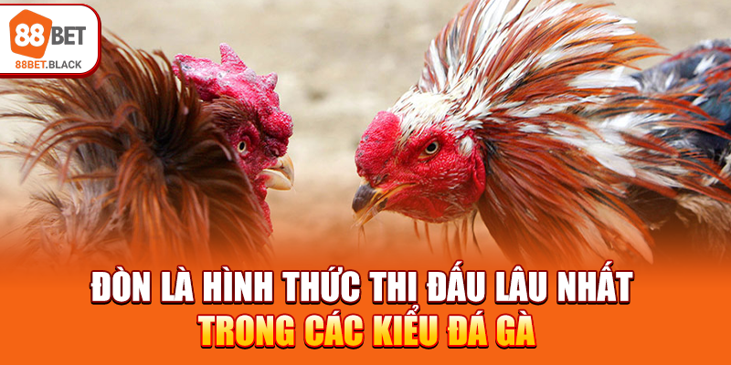 Đòn là hình thức thi đấu lâu nhất trong các kiểu đá gà