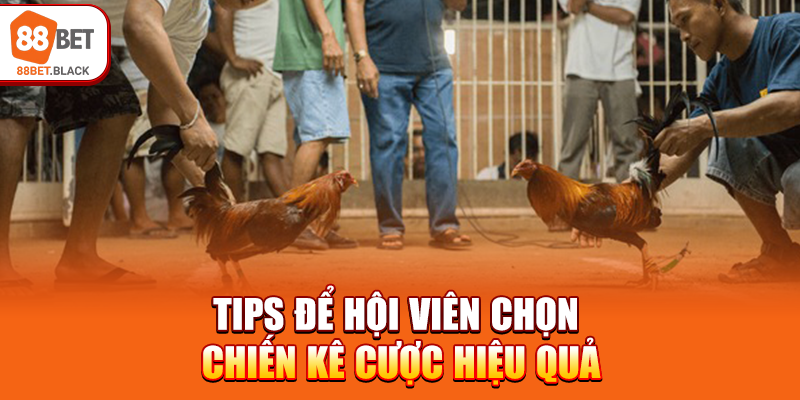 Tips để hội viên chọn chiến kê cược hiệu quả